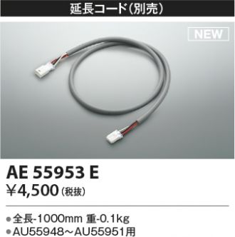 AE55953E