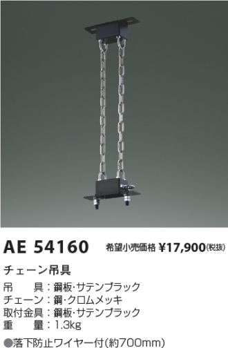 AE54160