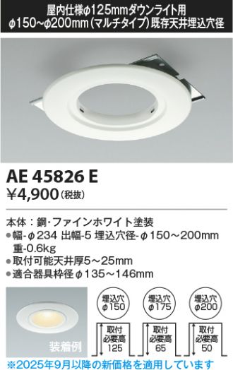 AE45826E