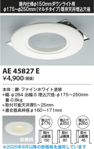 AE45827E