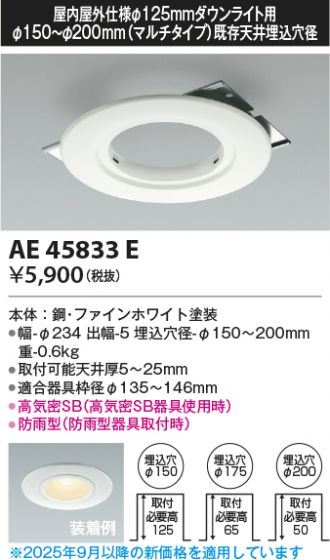 AE45833E