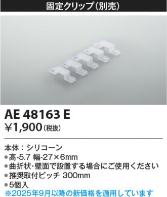 AE48163E