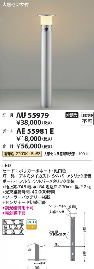 AE55981E